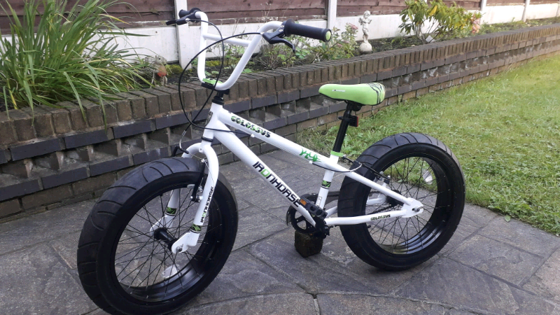 iron horse fat tire bike